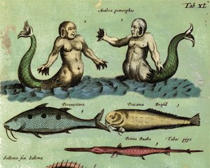Znázornění sirény a tritona, fantastického mořského tvora popsaného v atlase zoologie. Detail. 17. století od Unknown artist