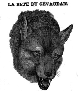 Zastoupení Bete du Gevaudan. od Unknown artist