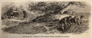 Pěstování rýže: sklizeň v říjnu, stonky se spojují do bot. Rytina pro ilustraci plavby do Japonska v letech 1863-1864 od Aime Humberta, ministra Švýcarské konfederace, v „Le tour du monde, nouveau journal des voyages“, vydaném pod vedením od Unknown artist