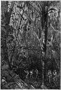 Rozvoj silnic ve Střední Americe: Vrtání nikaragujské silnice přes prales (odlesňování). Kresba poručíka Oliviera, člena expedice kapitána Bedforda Pima (1826-1886). Gravírování do „“The Illustrious Universe““ od Unknown artist