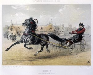 Rusko: Orloff plemeno klusák - v "" Kentaur "" 1867 od Unknown artist