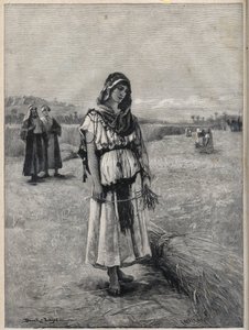 Ruth pracující na poli Boaz (Booz) (Ruth a Boaz) - rytina z obrazu Druch-hajos od Unknown artist