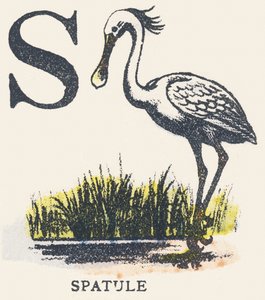 S: špachtle od Unknown artist