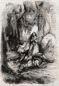 Sacripant (Sacripante) desarconne v přítomnosti Angeliky (Angelica) - rytina z roku 1851 z „“Roland furieux““ (Orlando furioso) (16. století) od Ludovica Ariosta, známého jako Ariosta – vydání přeložené z italštiny hrabětem z Tressanu a p od Unknown artist
