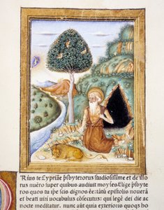 Svatý Jeroným - miniatura od Unknown artist