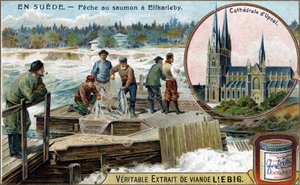 Lov lososů v Elfkarleby, Švédsko. Chromolitografie, Liebigův snímek. od Unknown artist