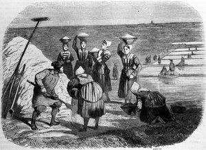 Výroba soli: ženy pracující v salinách. 19. století rytina od Unknown artist