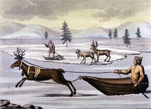 Sámové: domorodí obyvatelé žijící v zemích severních zemí (Norsko, Finsko, Švédsko a Rusko) se pohybují na sobích tobogánech nebo na lyžích. Rytina 19. století od Unknown artist