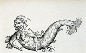 Mořský ďábel, údajně zajatý v Jaderském moři na začátku 15. století - podle Gesnera od Unknown artist
