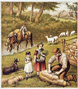 Kosení ovcí - chromolitografie od Unknown artist