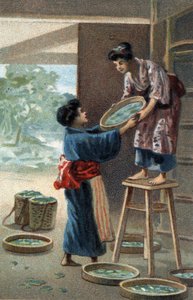 Chov bource morušového v japonském magnetu. Chromolitografie konce 19. století. od Unknown artist