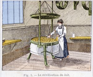 Sterilizace mléka - rytina, konec 19. století od Unknown artist