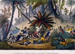 Pořízeno de la Ravine v Reuvres dne 23.2.1802. Expedice Leclerc, která obklopuje jednotky Francoise Dominique Toussainta, známého jako „Toussaint-Louverture“ (Toussaint Louverture od Unknown artist