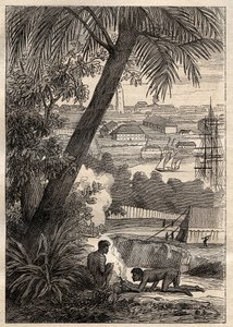 Výprava do jižních zemí (1800-1803) od Nicolase Baudina (1754-1803): Pohled na Sydney (Austrálie) - ilustrace z „Velkých námořníků 18. století““ od Unknown artist