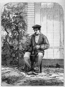 Stáčení šampaňského vína. Rytina z roku 1864. od Unknown artist