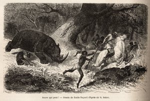 Náboj nosorožce, který převrátí a uvězní lovce, během pátrání po autorovi a jeho průvodcích. Rytina pro ilustraci průzkumu habešských přítoků Nilu od sira Samuela W. Bakera v letech 1861-62, publikovaná v „“ Le tou od Unknown artist