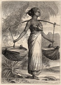 Expedice kolem světa (1790-1792) kapitána Etienna Marchanda (1755-1793): nosič vody v Timoru (Východní Timor, Indonésie) - ilustrace převzata z „Velkých námořníků 18. století““ od Unknown artist