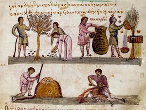 Sklizeň oliv, produkce medu a porážky jehňat Miniatura z loveckého dojení „The Cynegetics““ od Oppiana (Oppian nebo Oppianus) ze Sýrie (3. století n. l.) věnovaná Caracalle. Benátky 11. století. Knihovna Marciana od Unknown artist