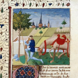 Rytíř kulatého stolu Gauvain (nebo Gawain), synovec krále Artuše poblíž fontány. Miniatura z rukopisu „Román Quete of Gral““ 1450-1460 Dijon, Městská knihovna od Unknown artist