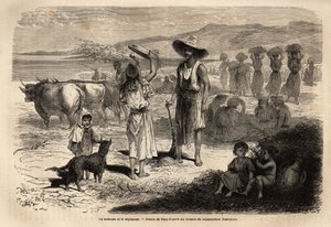 Práce na sklizni, sklizni a sběru pšenice v Djurjura (Alžírsko); ženy sedící v kruzích narážejí do epis kulatými paličkami, jiné házejí slámu a zrní do větru velkým sítem, pak zametání půdy umožňuje obilí znovu od Unknown artist