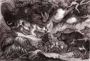 Lov tygra v amazonském pralese(rytina) od Unknown Artist