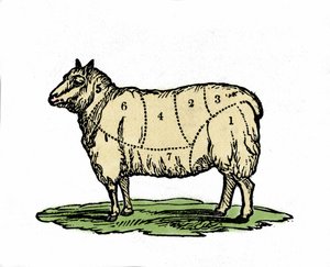 Různé kousky ovčího řezníka. Ilustrace z konce 19. století. od Unknown artist