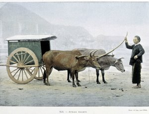 Vietnamský Hitch, „“Around the World“, konec 19. století. od Unknown artist