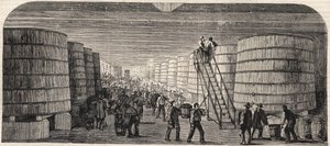 Pohled do sklepení na zámku - Lafitte v roce 1860 od Unknown artist