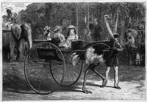 Projděte se na hřbetě slona a dětí v kariole tažené Rakušany. Zahrada aklimatizace Bois de Boulogne v Paříži od Unknown artist