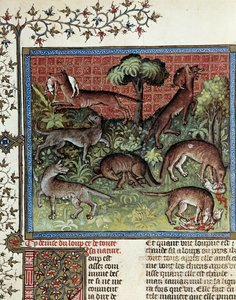 Heslem je vlk a celá jeho přirozenost. Miniatura od Gastona Phoebuse (1331-1391) od Gastona III Comte De Foix od Unknown artist