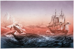 Velrybářská loď nedokázala zachránit své velrybí převrácené čluny od Unknown artist
