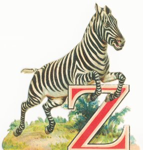 Od: Zebra od Unknown artist