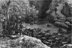 Zulouland v Africe: protože les nenabízí potřebné zdroje, je kmen Zulu nucen sestoupit na pláně, kde pěstuje a chová dobytek. Gravírování do ""La Nature"" od Unknown artist