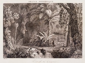 rytina zobrazující francouzskou kolonii Guyana v Jižní Americe 1850 od Unknown artist