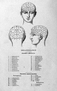 ilustrace z knihy Charlese Rouvina z roku 1873 Organographie La Tête humaine, ilustrované studie frenologie a fyzionomie aplikované na slavné postavy Paříž 1873 od Unknown artist