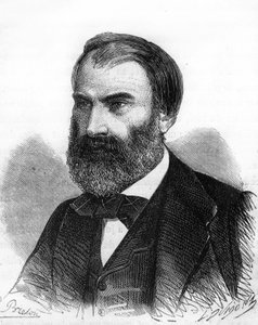 Portrét Eugena Pelletana. Francouzský politik (1813 až 1884). od Unknown artist
