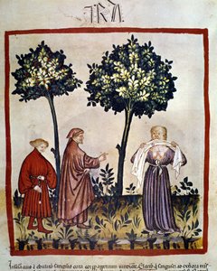 vzteklina nebo rozzlobený člověk mačkající tkáň mezi zuby. Iluminace 14. století „Tacuinum Sanitatis“, Vídeň, Národní knihovna. od Unknown artist
