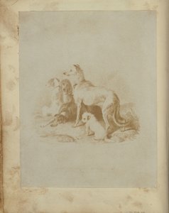 [Skupina pěti psů] od Unknown artist