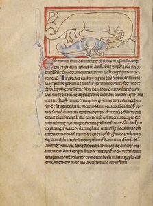 A Hydrus od Unknown artist