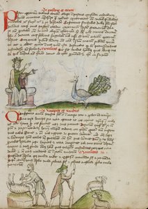 Král na trůně mluví s pávem; pastýř zabíjí berana; pastýř s holí a nožem před dvěma kozami. od Unknown artist