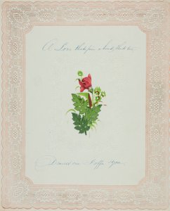 Pevná láska (valentýnka) od Unknown artist