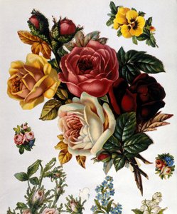Kytice růží. Chromolitografie 19. století. od Unknown artist