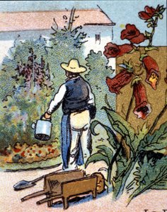Zahradník, chromolitografie od Unknown artist