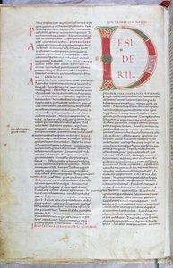 Stránka z Bible z 11. století s velkým písmenem D od Unknown artist
