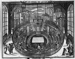 Anatomické divadlo univerzity v Leidenu, konec 17. století. od Unknown artist