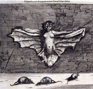 Netopýři a krysy. „De China Monumenta“ od Athanasia Kirchera od Unknown artist