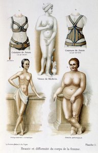 Krása a deformace ženského těla (štíhlá a obezita); Junino pásy - v „Žena, domácí lékař““ od Unknown artist