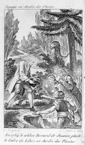 Bernard de Jussieu, francouzský botanik (1699-1777) sází cedr z Libanonu v zahradě rostlin v Paříži od Unknown artist