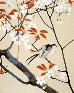 Pták a třešeň v květu - japonská kresba Riou Chim, konec 19. století od Unknown artist