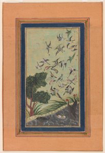 Ptáci v Baranu, možná z Babur-nama od Unknown artist
